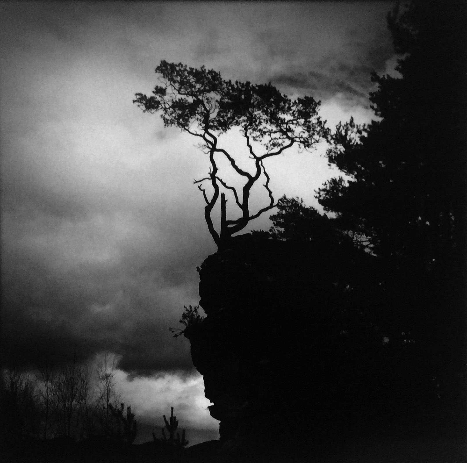 Pfalz, Bild: Ewald Vorberg