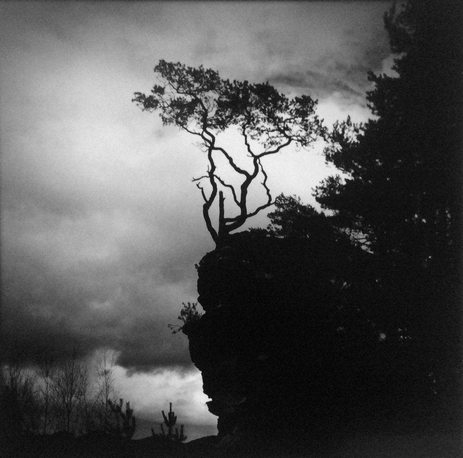 Pfalz, Bild: Ewald Vorberg